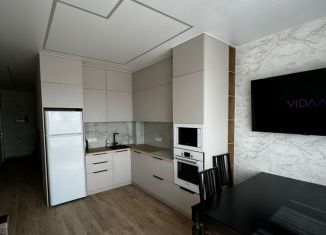 3-ком. квартира в аренду, 55 м2, Уфа, улица Сагита Агиша, 19