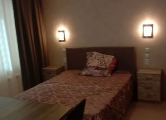 Сдается в аренду квартира студия, 32 м2, деревня Пирогово, улица Ильинского, 7