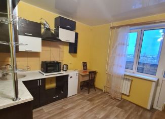 Квартира в аренду студия, 25 м2, Владимирская область, улица Кулибина, 10