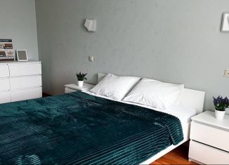 Сдается в аренду 2-комнатная квартира, 50 м2, Казань, улица Татарстан, 18, Вахитовский район