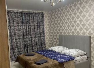 Сдается в аренду 2-ком. квартира, 50 м2, Барнаул, улица Сергея Ускова