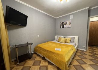 Квартира в аренду студия, 23 м2, Серпухов, Московское шоссе, 51