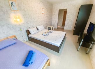 Сдается 1-ком. квартира, 43 м2, Лобня, улица Ленина, 71