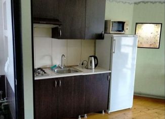 1-комнатная квартира в аренду, 30 м2, село Раздольное, Земляничная улица, 36А