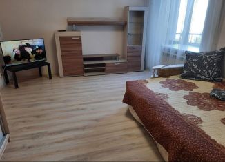 Сдается в аренду 1-комнатная квартира, 37 м2, Новосибирск, улица Кошурникова, Дзержинский район