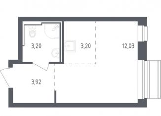 Продается квартира студия, 22.4 м2, село Лайково