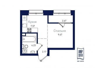 1-комнатная квартира на продажу, 26.4 м2, Благовещенск