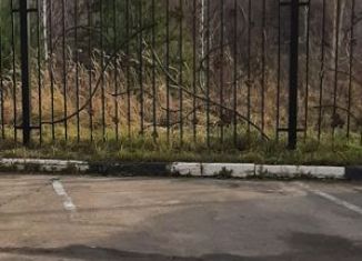 Сдача в аренду машиноместа, 25 м2, Нижегородская область, проспект Победы, 16