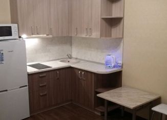 Квартира в аренду студия, 22 м2, Новосибирск, Беловежская улица, 4/1