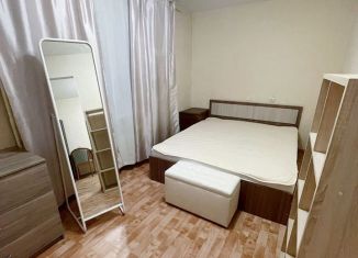 Двухкомнатная квартира в аренду, 42 м2, Екатеринбург, улица Бажова, 55, улица Бажова