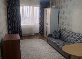 Сдаю в аренду квартиру студию, 30 м2, Ставрополь, Октябрьская улица, 192Б, Октябрьский район