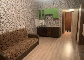 Аренда 1-комнатной квартиры, 30 м2, Кемеровская область, бульвар Строителей, 69