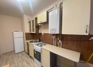 Сдается в аренду 1-комнатная квартира, 29 м2, деревня Куюки, улица 21-й Квартал, 9