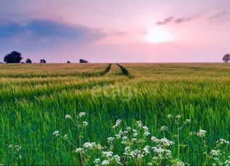 Земельный участок на продажу, 321 сот., село Чаадаево