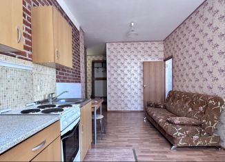 Сдается квартира студия, 35 м2, Санкт-Петербург, Выборгское шоссе, 17к2, ЖК Шуваловские высоты