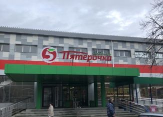 Сдам торговую площадь, 325 м2, поселок Парковый, улица Гагарина, 24Б