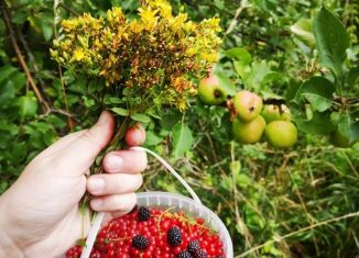 Участок на продажу, 12 сот., Черняховск, Элеваторная улица