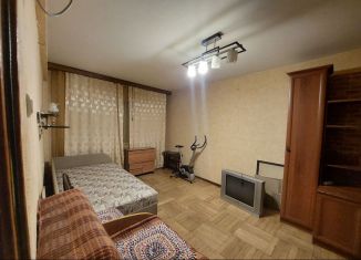 Продается 2-комнатная квартира, 42 м2, Санкт-Петербург, улица Софьи Ковалевской, 13к3, муниципальный округ Гражданка