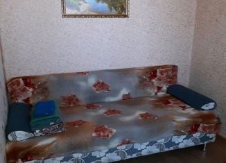 Аренда 1-комнатной квартиры, 23 м2, Сарапул, улица Чистякова, 40А