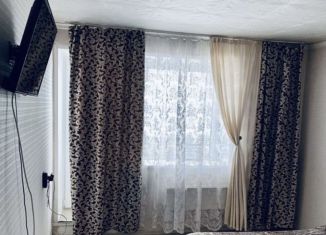 Аренда однокомнатной квартиры, 32 м2, Красноярский край, микрорайон Предмостный, 13А