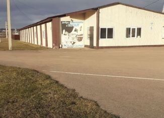 Продам помещение свободного назначения, 800 м2, Республика Башкортостан, улица Ильдара Хасанова, 22