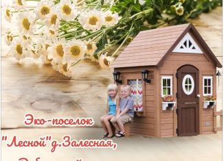 Продаю участок, 12 сот., деревня Залесная, Летняя улица