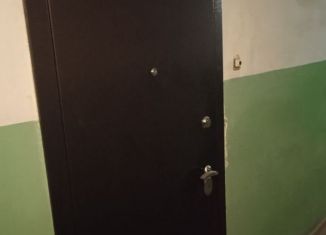 1-комнатная квартира на продажу, 28 м2, Котовск, Новая улица, 2