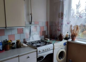 Аренда 2-ком. квартиры, 60 м2, деревня Белогорка, Институтская улица, 15