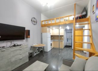 Продам квартиру студию, 31 м2, Санкт-Петербург, Гатчинская улица, 22