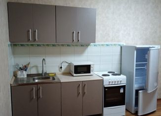 Сдам 1-ком. квартиру, 40 м2, Тюмень, улица Беляева, 37к1