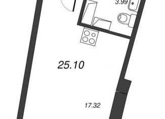 Продается квартира студия, 27.9 м2, Ленинградская область