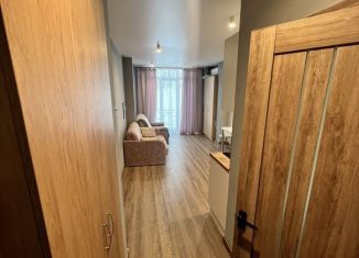 Сдаю квартиру студию, 27 м2, Сочи, Фермерский переулок, 24, микрорайон Энергетик-Изумруд