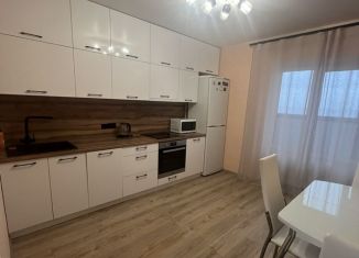 Аренда 2-комнатной квартиры, 59 м2, Воронеж, Минская улица, 43/3