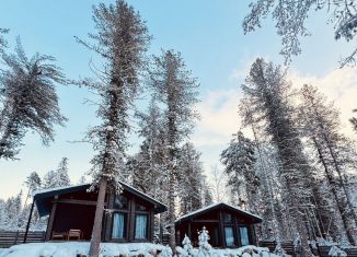 Сдам в аренду дом, 40 м2, село Артыбаш, Еловый переулок, 11