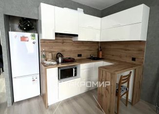 Сдача в аренду квартиры студии, 25 м2, Ижевск, улица Архитектора П.П. Берша, 14