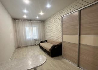 Сдам в аренду квартиру студию, 30 м2, Абакан, улица Авиаторов, 2