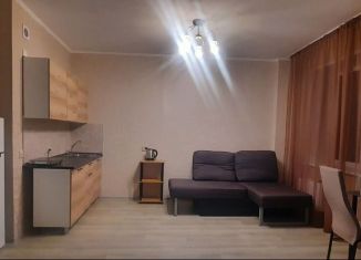 Сдается в аренду квартира студия, 40 м2, Абакан, проспект Ленина