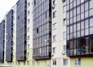 Продажа однокомнатной квартиры, 31 м2, поселок Придорожный, Николаевский проспект, 39