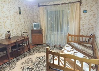 Продажа 1-комнатной квартиры, 29 м2, Пензенская область, улица Пушкина, 29