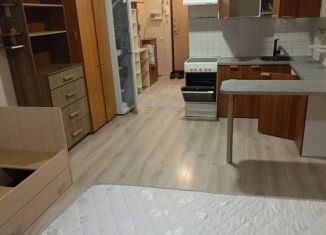 Квартира в аренду студия, 31 м2, Балашиха, Троицкая улица