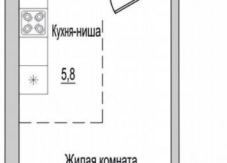 1-ком. квартира на продажу, 31 м2, Псковская область, улица Героя России Досягаева, 6