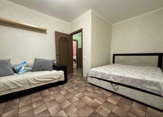 1-комнатная квартира в аренду, 40 м2, Татарстан, Спартаковская улица, 89