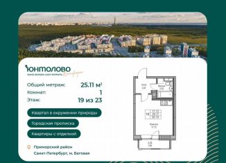 Продам квартиру студию, 25.1 м2, Санкт-Петербург, Ивинская улица, 1к2, метро Беговая