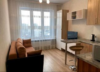 Квартира на продажу студия, 19 м2, Москва, 6-я Радиальная улица, 7/6к3, район Бирюлёво Восточное