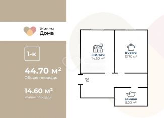 Однокомнатная квартира на продажу, 44.7 м2, поселок Царицын, Северная улица, 6