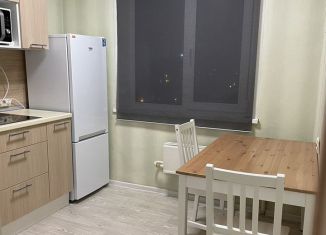 Сдается 1-ком. квартира, 28 м2, Екатеринбург, метро Ботаническая, Братская улица, 10