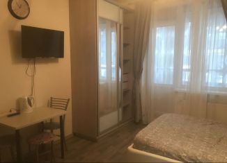 Сдам квартиру студию, 24 м2, Кудрово, Центральная улица, 50