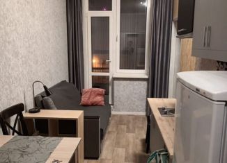 Аренда квартиры студии, 25 м2, Петергоф, Парковая улица, 20к3с4