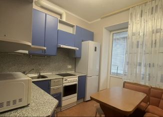 Сдается 1-ком. квартира, 40 м2, Санкт-Петербург, улица Композиторов, метро Проспект Просвещения