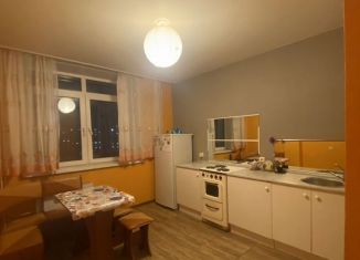 Сдается 1-комнатная квартира, 47 м2, Красноярск, улица Мате Залки, 41